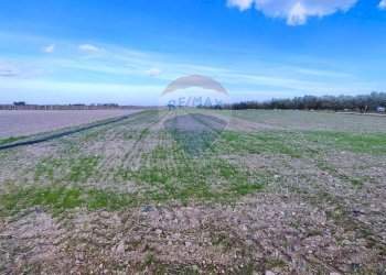 terreno - Terreno agricolo Strada Provinciale 105, Foggia - foto 1
