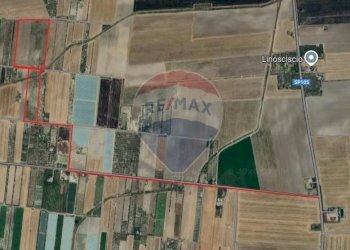 terreno - Terreno agricolo Strada Provinciale 105, Foggia - foto 2