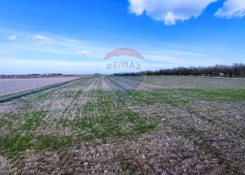 terreno - Terreno agricolo Strada Provinciale 105, Foggia - foto 3