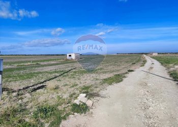 terreno - Terreno agricolo Strada Provinciale 105, Foggia - foto 4