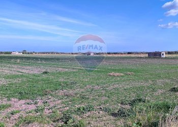 terreno - Terreno agricolo Strada Provinciale 105, Foggia - foto 5