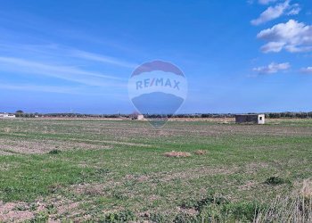 terreno - Terreno agricolo Strada Provinciale 105, Foggia - foto 6