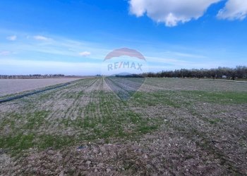 terreno - Terreno agricolo Strada Provinciale 105, Foggia - foto 7