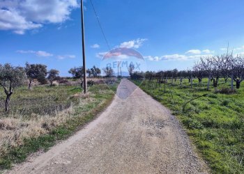 stradina - Terreno agricolo Strada Provinciale 105, Foggia - foto 8