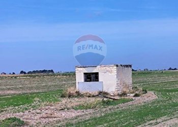 rudere - Terreno agricolo Strada Provinciale 105, Foggia - foto 10