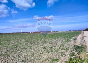 terreno - Terreno agricolo Strada Provinciale 105, Foggia - foto 12