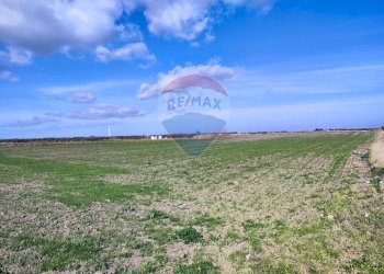 terreno - Terreno agricolo Strada Provinciale 105, Foggia - foto 13