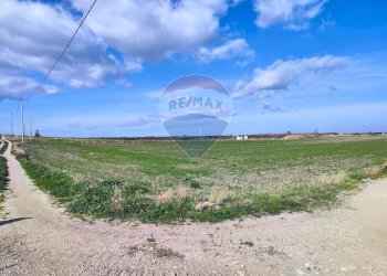terreno - Terreno agricolo Strada Provinciale 105, Foggia - foto 14