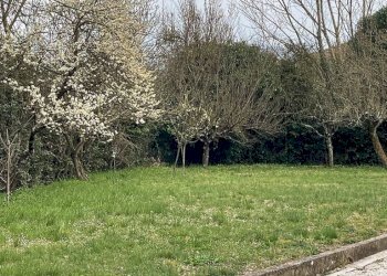 Foto 46 - Villa via Gaeta
 
35, Ceccano - foto 46