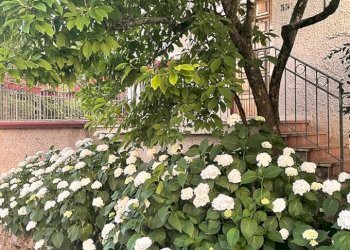 Foto 51 - Villa via Gaeta
 
35, Ceccano - foto 51