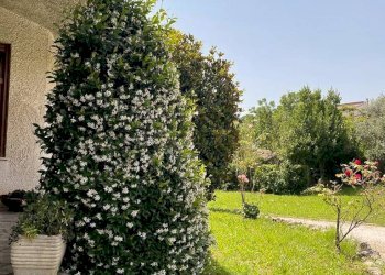 Foto 57 - Villa via Gaeta
 
35, Ceccano - foto 57