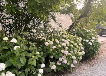 Foto 62 - Villa via Gaeta
 
35, Ceccano - foto 62