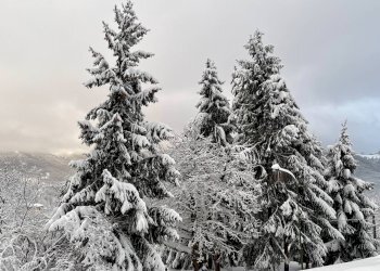 dintorni - Bilocale Via Artesima, Frabosa Sottana - foto 20