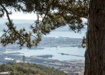 Foto 30 - Villa Strada Vicentina, Trieste - foto 30