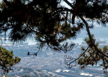 Foto 32 - Villa Strada Vicentina, Trieste - foto 32