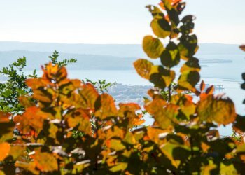 Foto 33 - Villa Strada Vicentina, Trieste - foto 33