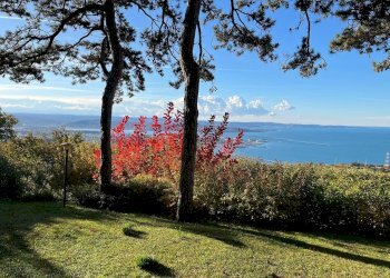 Foto 7 - Villa Strada Vicentina, Trieste - foto 7