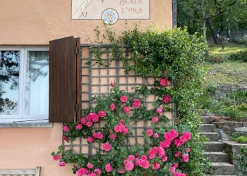 Foto 31 - Villa Strada Vicentina, Trieste - foto 31