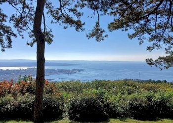 Foto 34 - Villa Strada Vicentina, Trieste - foto 34