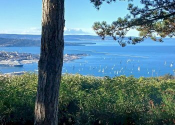 Foto 1 - Villa Strada Vicentina, Trieste - foto 1