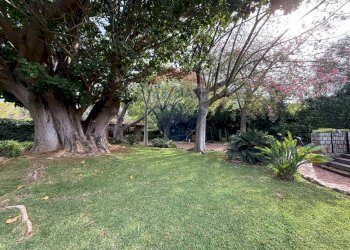 Giardino - Villa Via Delle Tre Grazie
 
16, Palermo - foto 8