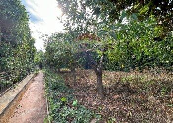 Giardino - Villa Via Delle Tre Grazie
 
16, Palermo - foto 25