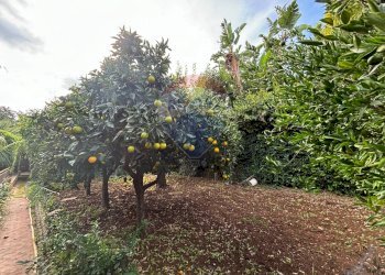 Giardino - Villa Via Delle Tre Grazie
 
16, Palermo - foto 26