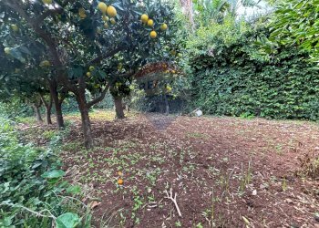 Giardino - Villa Via Delle Tre Grazie
 
16, Palermo - foto 27