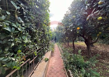 Giardino - Villa Via Delle Tre Grazie
 
16, Palermo - foto 28