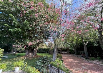 Giardino - Villa Via Delle Tre Grazie
 
16, Palermo - foto 41