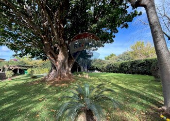 Giardino - Villa Via Delle Tre Grazie
 
16, Palermo - foto 43