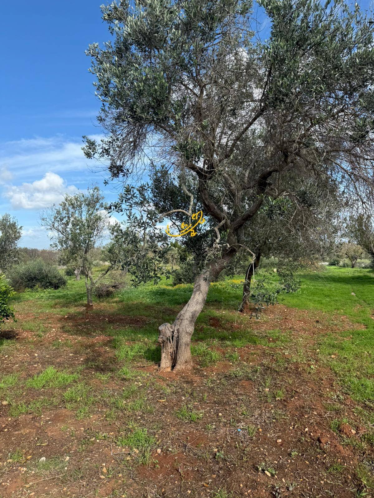 Foto 3 - Baita Contrada Grotta
 
SN, Ostuni - foto 3