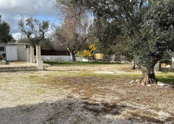 Foto 4 - Baita Contrada Grotta
 
SN, Ostuni - foto 4