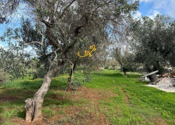 Foto 8 - Baita Contrada Grotta
 
SN, Ostuni - foto 8