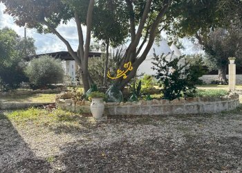 Foto 12 - Baita Contrada Grotta
 
SN, Ostuni - foto 12