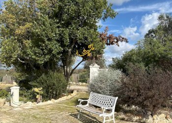 Foto 35 - Baita Contrada Grotta
 
SN, Ostuni - foto 35