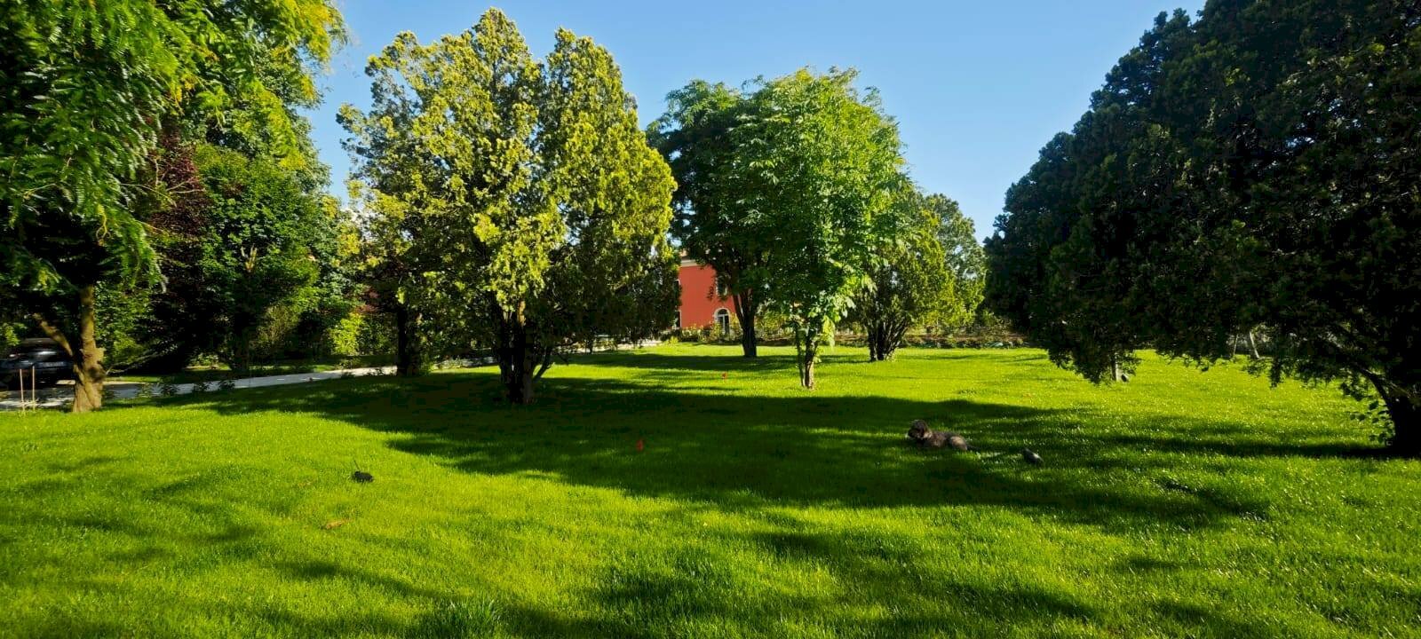 Foto 3 - Appartamento Stradello Scartazzetta
 
59, Modena - foto 3