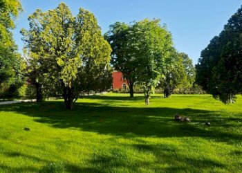 Foto 3 - Appartamento Stradello Scartazzetta
 
59, Modena - foto 3