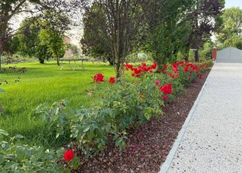 Foto 45 - Appartamento Stradello Scartazzetta
 
59, Modena - foto 45