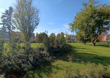 Foto 49 - Appartamento Stradello Scartazzetta
 
59, Modena - foto 49