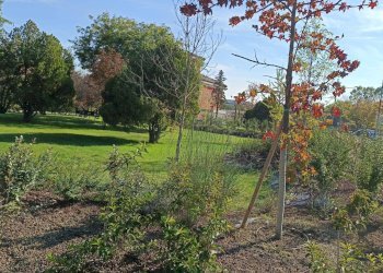 Foto 58 - Appartamento Stradello Scartazzetta
 
59, Modena - foto 58