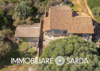 Foto 19 - Casa indipendente VIA ELEONORA, Luogosanto - foto 19