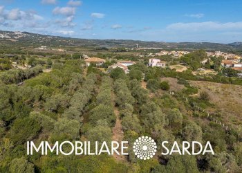 Foto 24 - Casa indipendente VIA ELEONORA, Luogosanto - foto 24