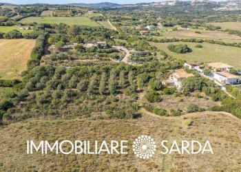 Foto 28 - Casa indipendente VIA ELEONORA, Luogosanto - foto 28