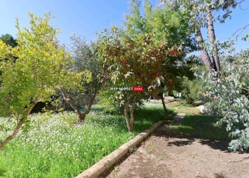 Villa Bifamiliare Strada San Paolo, Martina Franca - foto 24