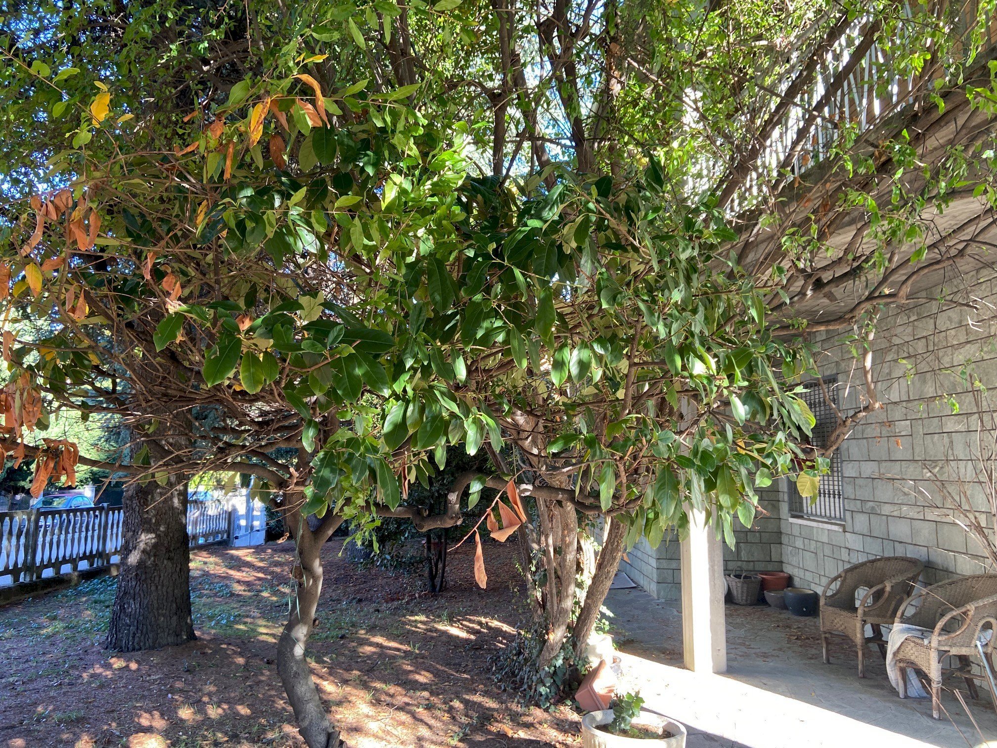 Casa indipendente Sassuolo - foto 2