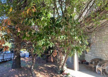 Casa indipendente Sassuolo - foto 2