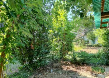 giardino - Casa semi indipendente Via Olmo, Creazzo - foto 28