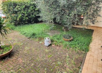 20251031_120307.jpg - Ufficio Via Giuseppe Mazzini, Santa Maria a Monte - foto 1