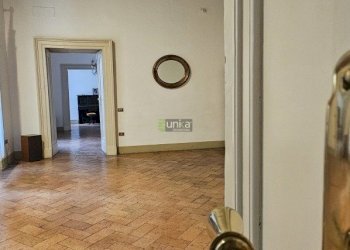 20251031_161113.jpg - Appartamento Via XV Settembre snc, Jesi - foto 3